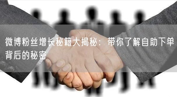 微博粉丝增长秘籍大揭秘：带你了解自助下单背后的秘密