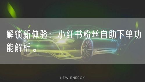 解锁新体验：小红书粉丝自助下单功能解析。