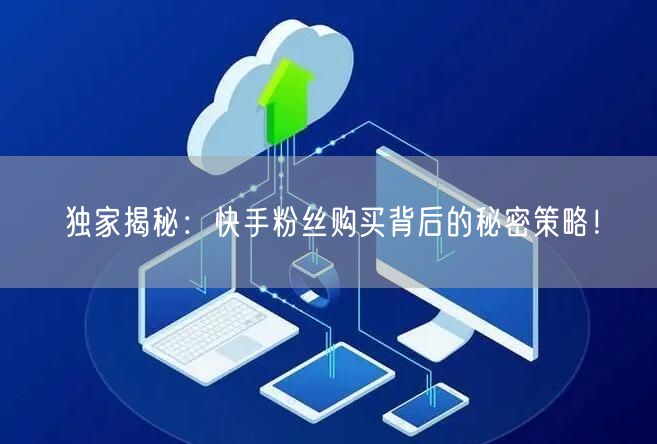 独家揭秘：快手粉丝购买背后的秘密策略！