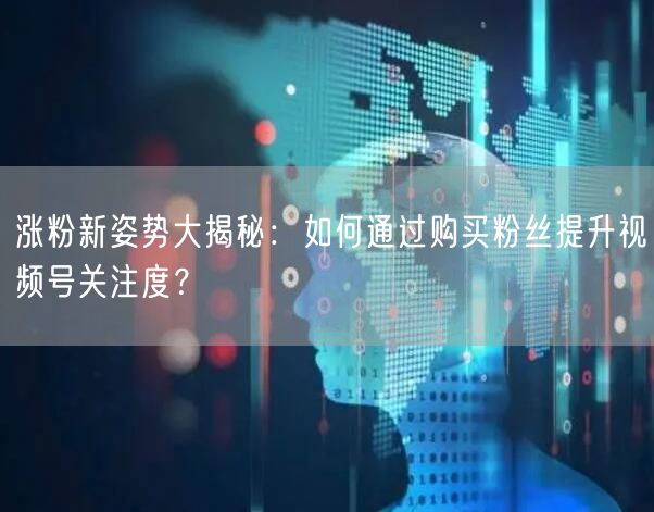 涨粉新姿势大揭秘：如何通过购买粉丝提升视频号关注度？