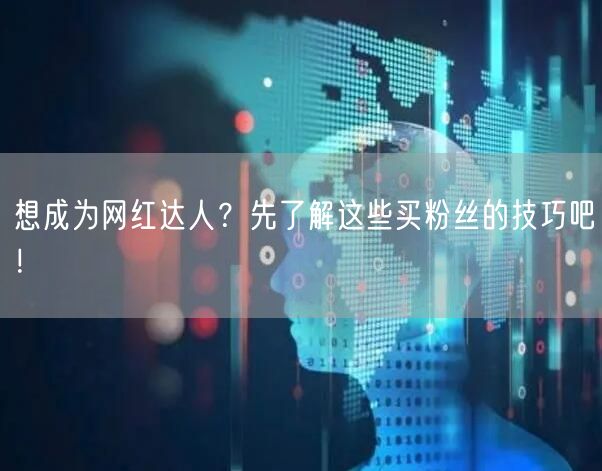 想成为网红达人？先了解这些买粉丝的技巧吧！