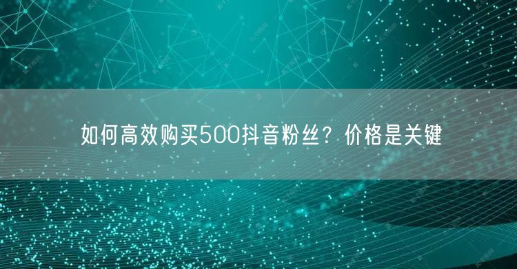 如何高效购买500抖音粉丝？价格是关键