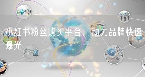 小红书粉丝购买平台，助力品牌快速曝光
