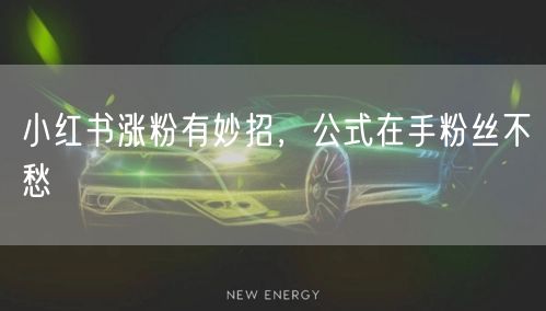 小红书涨粉有妙招，公式在手粉丝不愁