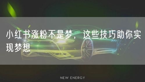 小红书涨粉不是梦，这些技巧助你实现梦想