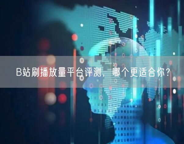 B站刷播放量平台评测，哪个更适合你？