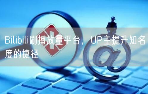 Bilibili刷播放量平台，UP主提升知名度的捷径
