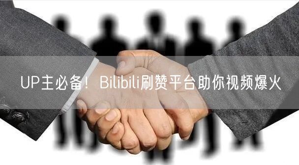 UP主必备！Bilibili刷赞平台助你视频爆火
