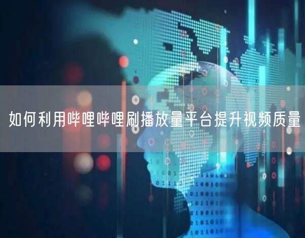 如何利用哔哩哔哩刷播放量平台提升视频质量