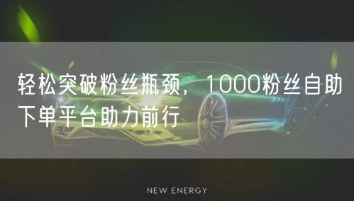轻松突破粉丝瓶颈，1000粉丝自助下单平台助力前行