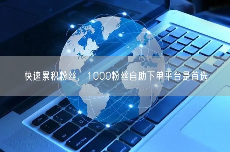 快速累积粉丝，1000粉丝自助下单平台是首选