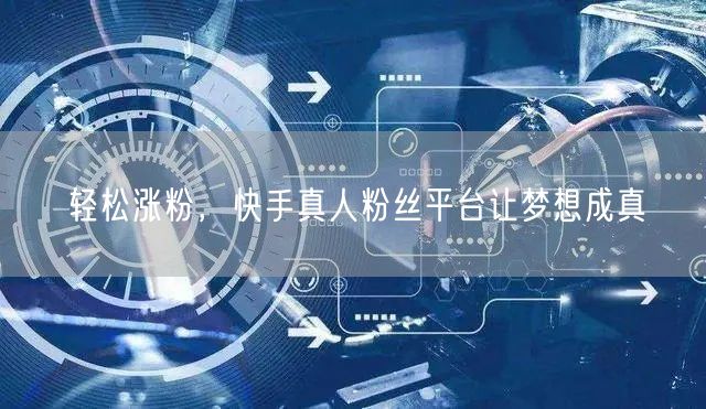 轻松涨粉，快手真人粉丝平台让梦想成真