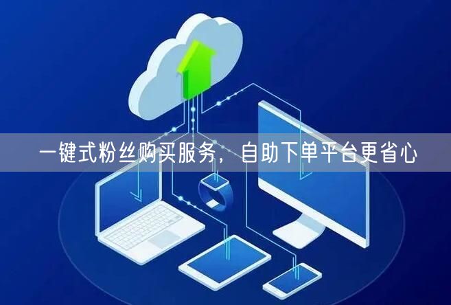一键式粉丝购买服务，自助下单平台更省心