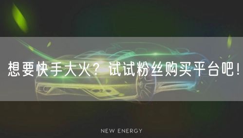 想要快手大火？试试粉丝购买平台吧！