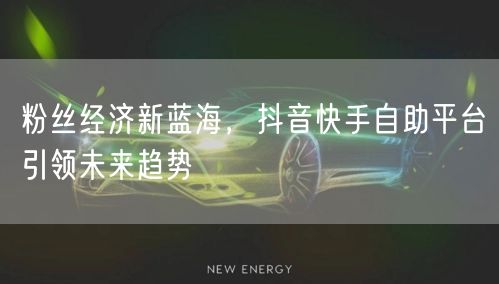 粉丝经济新蓝海，抖音快手自助平台引领未来趋势