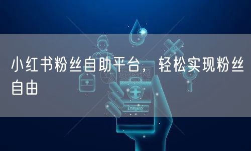 小红书粉丝自助平台，轻松实现粉丝自由