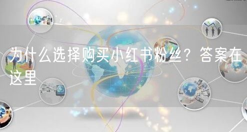 为什么选择购买小红书粉丝？答案在这里