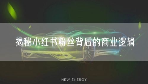 揭秘小红书粉丝背后的商业逻辑