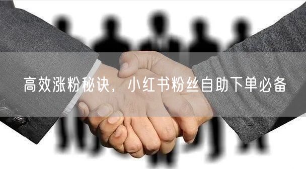 高效涨粉秘诀，小红书粉丝自助下单必备