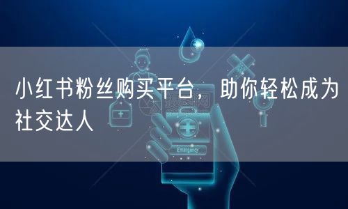 小红书粉丝购买平台，助你轻松成为社交达人
