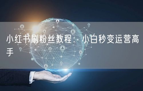小红书刷粉丝教程：小白秒变运营高手