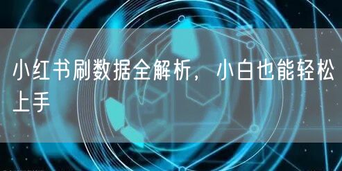 小红书刷数据全解析，小白也能轻松上手