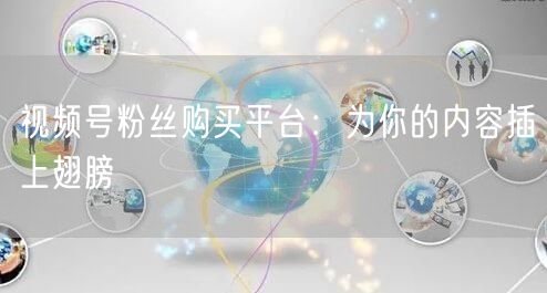 视频号粉丝购买平台：为你的内容插上翅膀