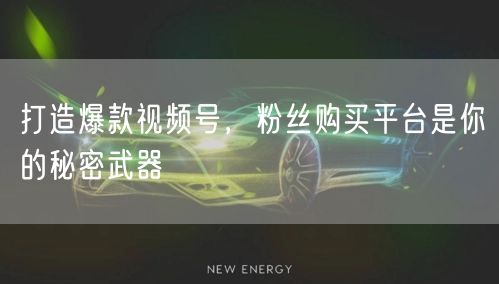 打造爆款视频号，粉丝购买平台是你的秘密武器