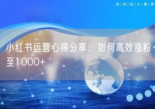 小红书运营心得分享：如何高效涨粉至1000+