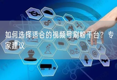 如何选择适合的视频号刷粉平台？专家建议