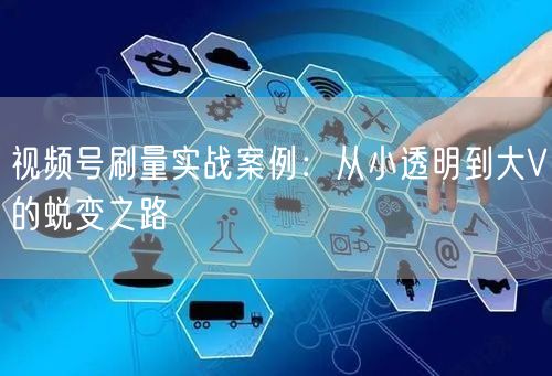 视频号刷量实战案例：从小透明到大V的蜕变之路