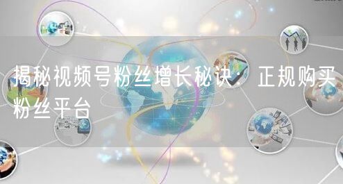揭秘视频号粉丝增长秘诀：正规购买粉丝平台