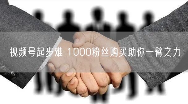 视频号起步难 1000粉丝购买助你一臂之力