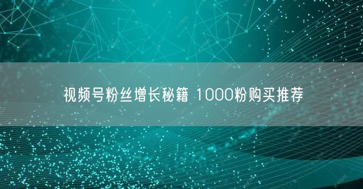 视频号粉丝增长秘籍 1000粉购买推荐
