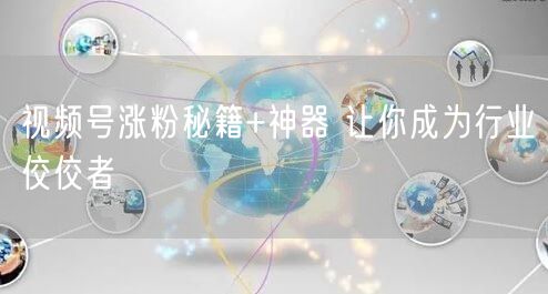 视频号涨粉秘籍+神器 让你成为行业佼佼者