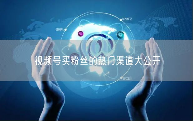 视频号买粉丝的热门渠道大公开