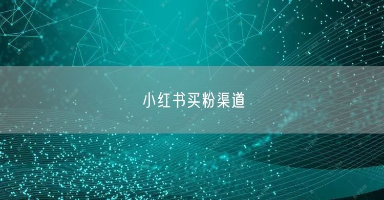 小红书买粉渠道