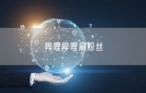 哔哩哔哩刷粉丝