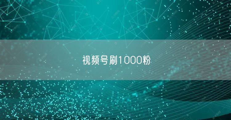 视频号刷1000粉