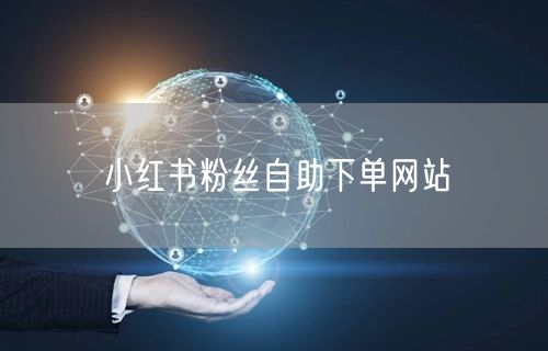 小红书粉丝自助下单网站