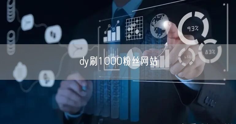 dy刷1000粉丝网站