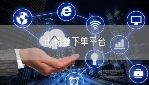 dy粉丝下单平台