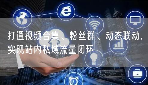 打通视频合集、粉丝群、动态联动，实现站内私域流量闭环