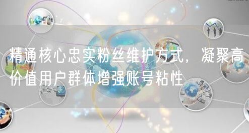 精通核心忠实粉丝维护方式，凝聚高价值用户群体增强账号粘性