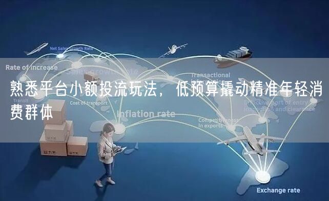 熟悉平台小额投流玩法，低预算撬动精准年轻消费群体