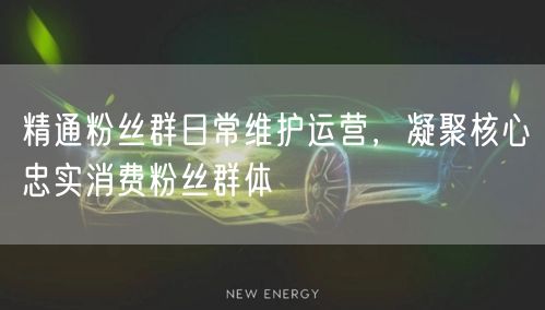 精通粉丝群日常维护运营，凝聚核心忠实消费粉丝群体