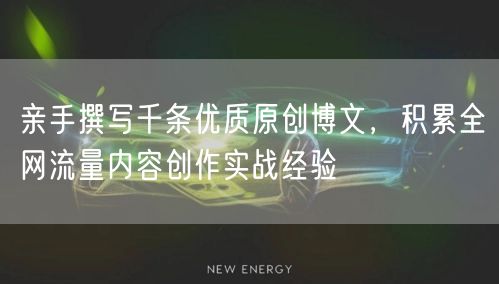 亲手撰写千条优质原创博文，积累全网流量内容创作实战经验