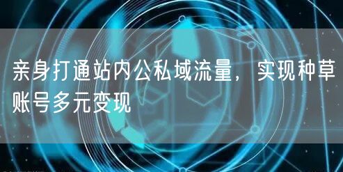 亲身打通站内公私域流量，实现种草账号多元变现