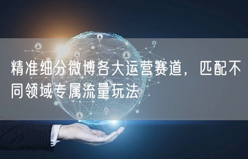 精准细分微博各大运营赛道，匹配不同领域专属流量玩法