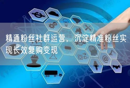 精通粉丝社群运营，沉淀精准粉丝实现长效复购变现